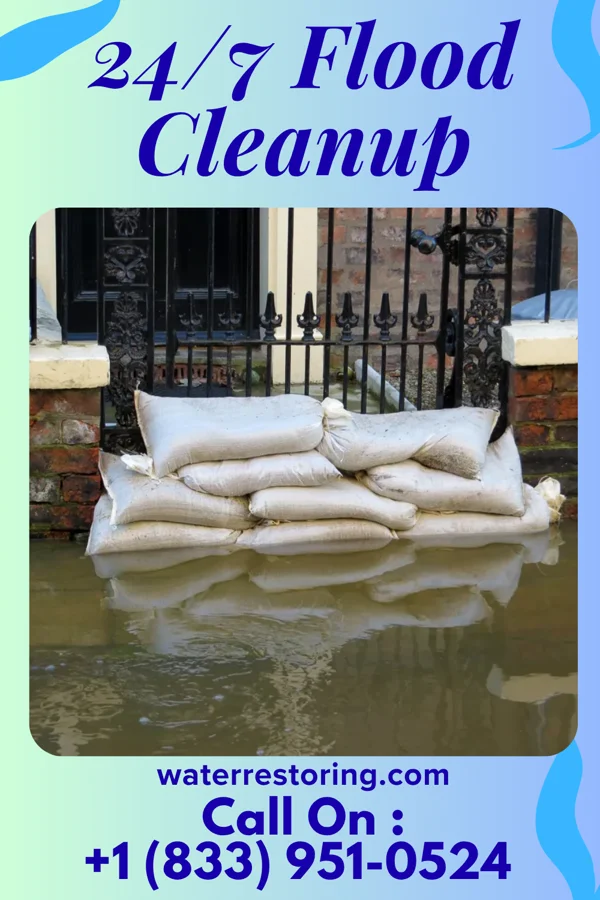 24/7 Flood Cleanup in Savannah, GA