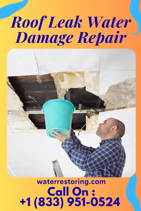 Roof Leak Water Damage Repair in Savannah, GA